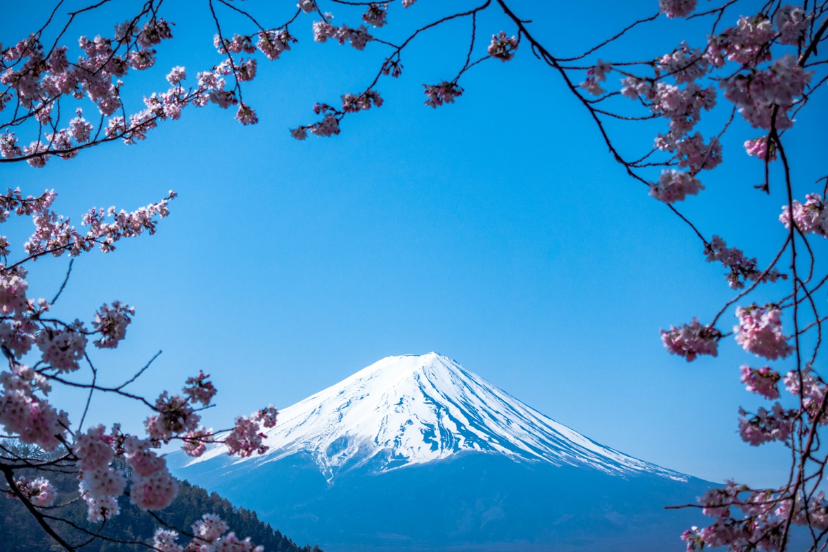 lml_img_inbound_2024_japan_1200x800